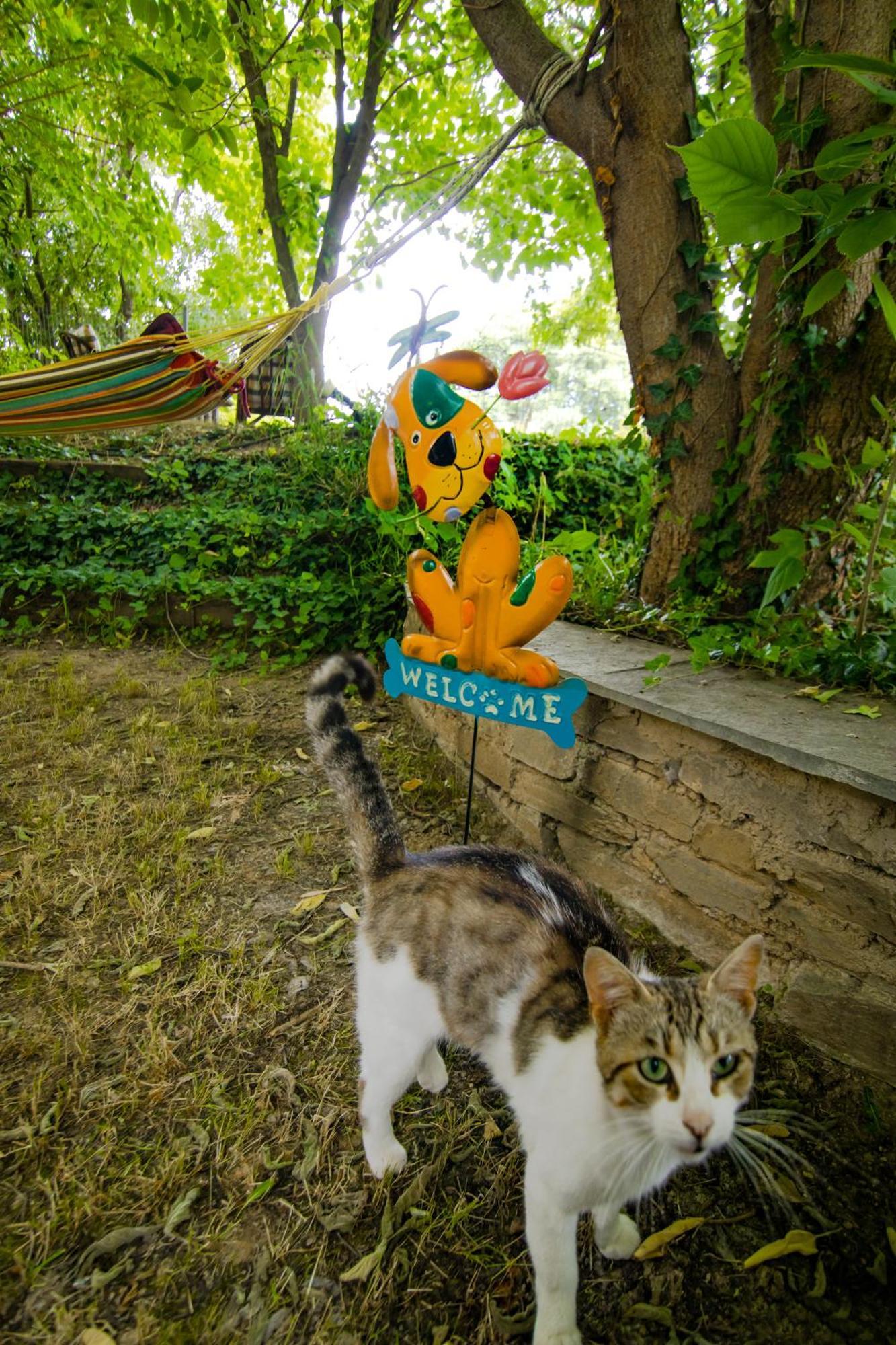 ヴォロスIleana'S Houseアパートメント エクステリア 写真
